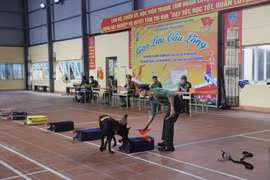 Cán bộ huấn luyện và chó nghiệp vụ của Bộ Tư lệnh Cảnh vệ giành giải Nhì khu vực phía Bắc