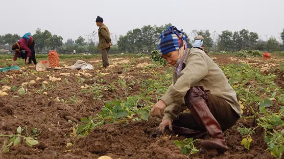 Tiếp tục giao đất 20 năm ảnh 1