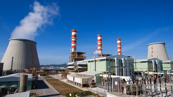 Vòi bạch tuộc từ châu Á ảnh 1