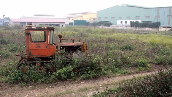 Hàng loạt sai phạm về đất đai tại huyện Thanh Trì, Hà Nội ảnh 1