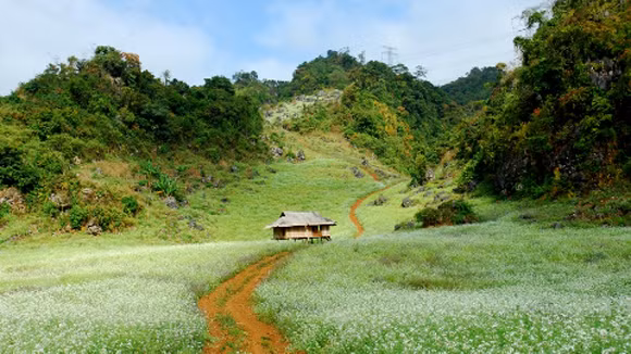 Nghỉ lễ trong thời “buộc bụng” ảnh 1