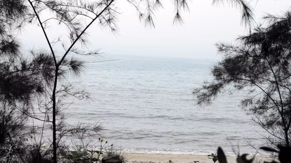 Thưởng ngoạn ở bãi biển nhiều kỷ lục ảnh 1