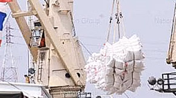 Mối lo giá lương thực ảnh 1