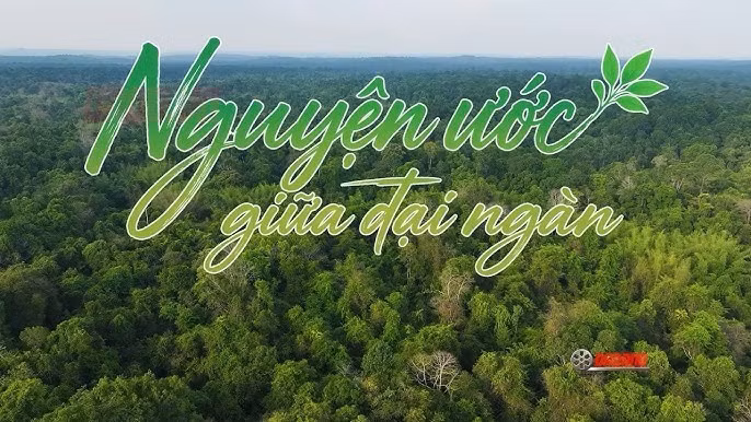 “Nguyện ước giữa đại ngàn” kể câu chuyện người lính giữ rừng Mã Đà