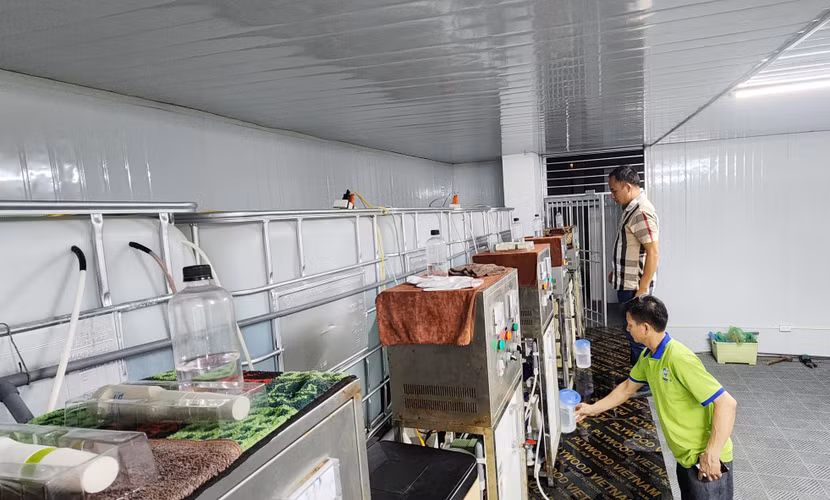 Anh Hà Văn Nam đã tạo công ăn việc làm cho nhiều người lao động