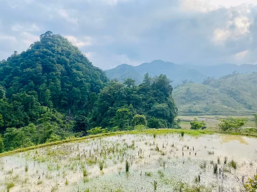 Những thửa ruộng bậc thang đang vào mùa nước đổ