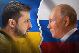 Ông Zelensky sẵn sàng gặp ông Putin tại hội nghị G20