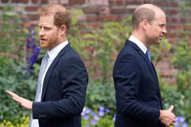 Mối quan hệ rạn nứt với Thái tử William trở thành tâm điểm chú ý khi Hoàng tử Harry sắp về Anh