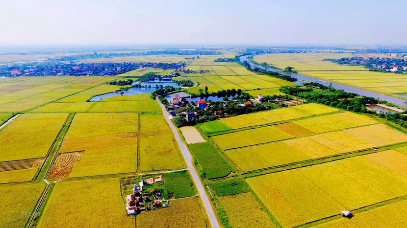 Nhiều ý kiến cho rằng, Luật Đất đai (sửa đổi) phải làm sao giữ đất, trồng cây gây rừng