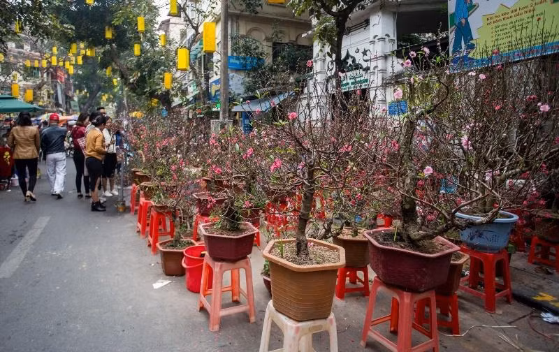 Hà Nội cấm đường một loạt tuyến phố cổ để tổ chức Chợ hoa Xuân Hà Nội cấm đường một loạt tuyến phố cổ để tổ chức Chợ hoa Xuân