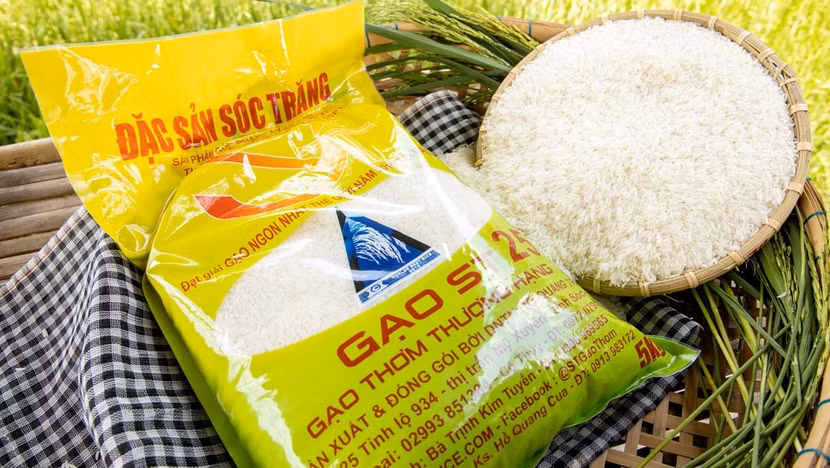Bộ NN&PTNT bác thông tin gạo thơm ST24 và ST25 được ưu đãi thuế xuất khẩu vào EU Bộ NN&PTNT bác thông tin gạo thơm ST24 và ST25 được ưu đãi thuế xuất khẩu vào EU
