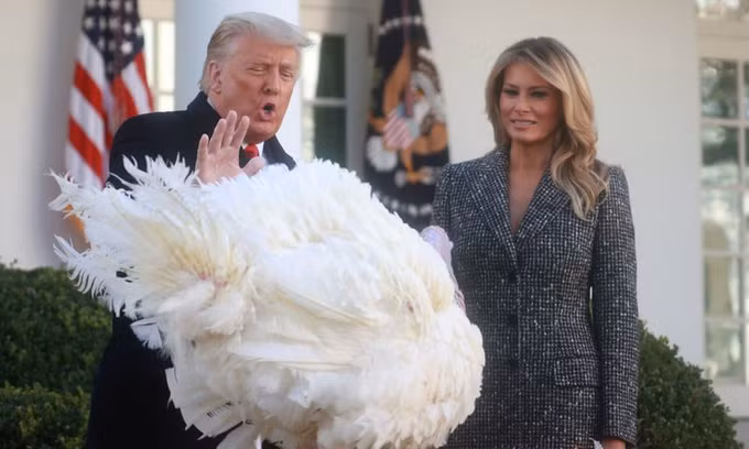 Tổng thống Donald Trump và phu nhân Melania trong buổi lễ xá tội cho gà tây tại Nhà Trắng hôm 24-11