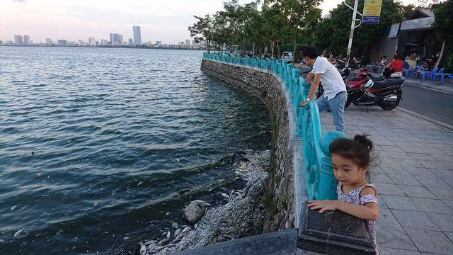 Nước hồ Tây nhiều lần bị ô nhiễm do cá chết hàng loạt và nước thải chưa được thu gom triệt để