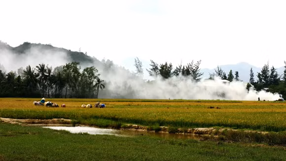 Cay mắt ảnh 1