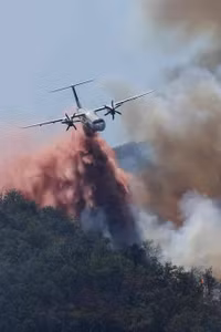 1000046038.jpg