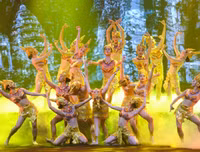 [ẢNH] Vũ điệu đường phố nóng bỏng khuấy động Carnaval Hạ Long 2019
