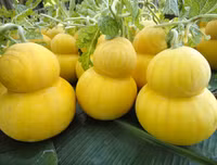 [ẢNH] Lạ mắt trái cây Tết mang ngoại hình 