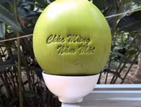 [ẢNH] Lạ mắt trái cây Tết mang ngoại hình 