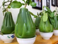 [ẢNH] Lạ mắt trái cây Tết mang ngoại hình 
