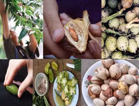 [ẢNH] Gợi cả trời thương nhớ với những hình ảnh mang ký ức tuổi thơ