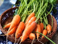 [ẢNH] Những thực phẩm giúp thanh lọc cơ thể cực tốt vào mùa hè không thể bỏ qua