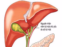 Những tác dụng không ngờ của quả óc chó