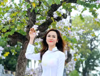 [ẢNH] Vẻ quyến rũ đến say đắm lòng người của hoa ban giữa lòng Thủ đô