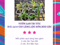 [ẢNH] Những phụ nữ 