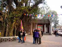 [ẢNH] Du Xuân đầu năm không thể bỏ qua 