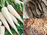 [ẢNH] 13 đặc sản nức tiếng có tên gọi 