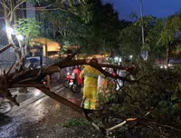 Ảnh hưởng bão số 2: Cầu sập, kênh vỡ, 5 người thương vong
