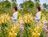 [ẢNH] Những phụ nữ 