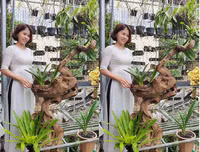 [ẢNH] Những phụ nữ 