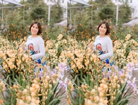[ẢNH] Những phụ nữ 
