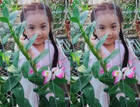 [ẢNH] Những phụ nữ 