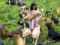[ẢNH] Thánh địa nơi động vật chính là 