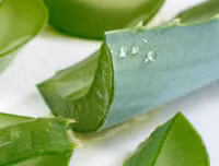 Cách trị mụn trứng cá hiệu quả đơn giản tại nhà