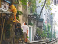 [Ảnh] Những khoảnh khắc bình dị nơi ‘xóm đường tàu’ khi bình minh lên