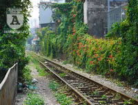 [Ảnh] Những khoảnh khắc bình dị nơi ‘xóm đường tàu’ khi bình minh lên