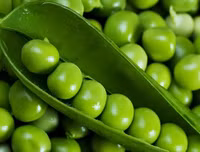 [ẢNH] Giữa 