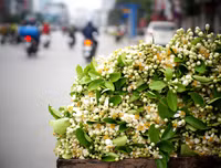 [ẢNH] 