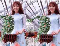 [ẢNH] Những phụ nữ 