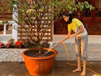 [ẢNH] Sao Việt làm gì trong những ngày nghỉ vì đại dịch Covid-19?