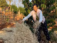 [ẢNH] Sao Việt làm gì trong những ngày nghỉ vì đại dịch Covid-19?