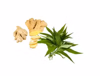 [ẢNH] Những món ăn đơn giản giúp phái mạnh trổ tài vào ngày 8-3