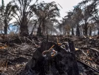 Indonesia: Bầu trời 