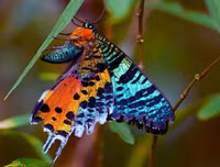 [ẢNH] Chiêm ngưỡng 