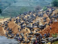 [ẢNH] Độc đáo những phiên chợ vùng cao Tây Bắc