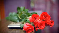 [ẢNH] 20-10 sắp tới, những món quà bất ngờ dành cho phái đẹp