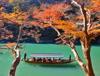 [ẢNH] Chiêm ngưỡng 